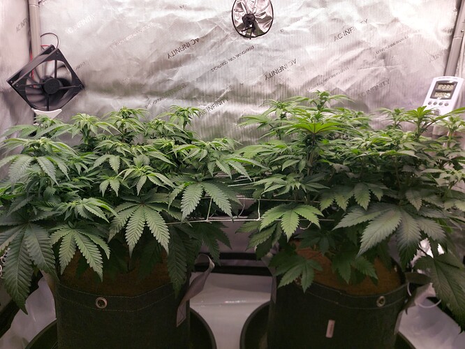 Growreport Bild 8