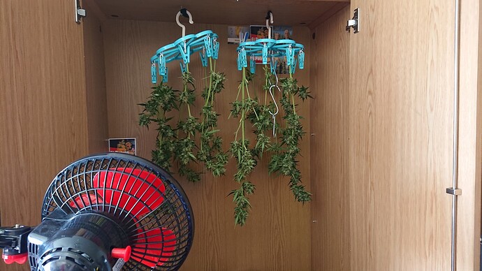 Growreport Bild 30