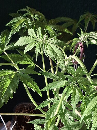 Growreport Bild 14