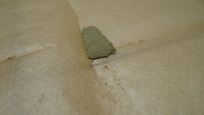 Growreport Bild 40