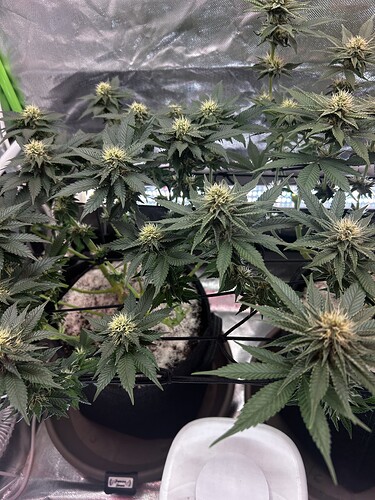Growreport Bild 14