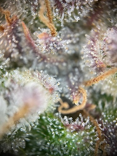 Growreport Bild 23