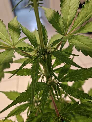 WhatsApp Image 2024-05-18 at 08.54.45 (1)