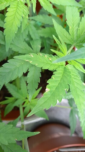 Growreport Bild 2