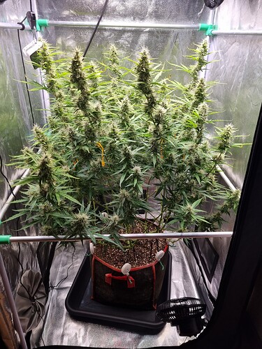 Growreport Bild 16
