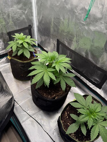 Growreport Bild 14
