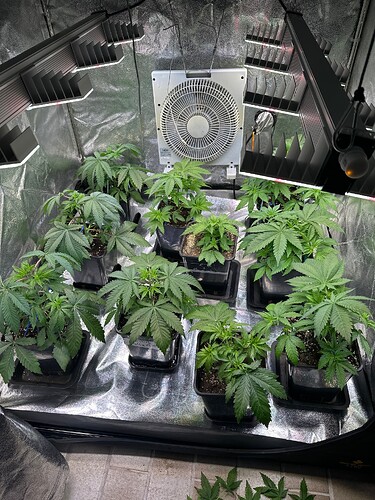 Growreport Bild 11