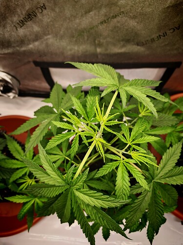 Growreport Bild 21