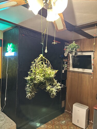 Growreport-Bild