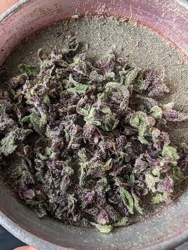 Growreport Bild 11