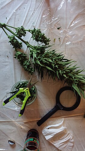 Growreport Bild 17
