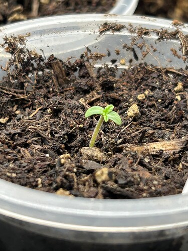 Growreport Bild 101