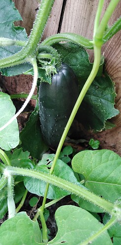 Growreport Bild 10