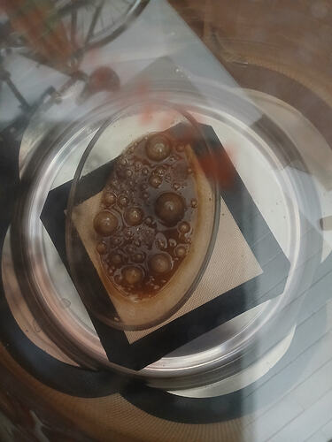 1000062583