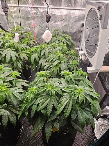 Growreport Bild 12