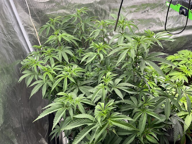 Growreport Bild 24