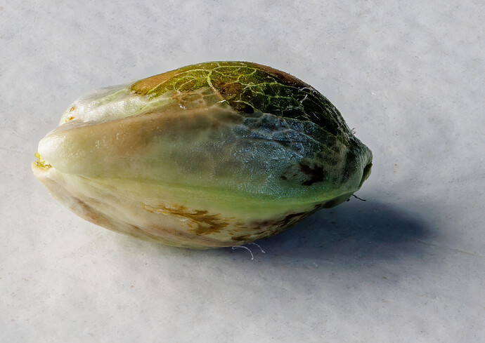 Growreport Bild 10