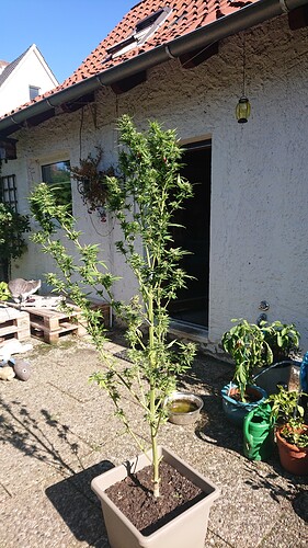Growreport Bild 24