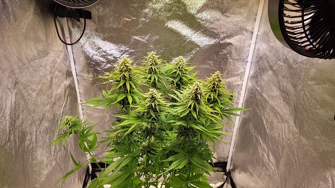 Growreport Bild 20