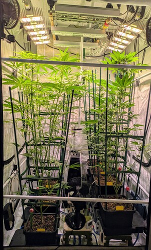 Growreport Bild 1