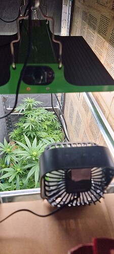 Growreport Bild 6