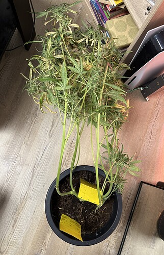 Growreport Bild 9