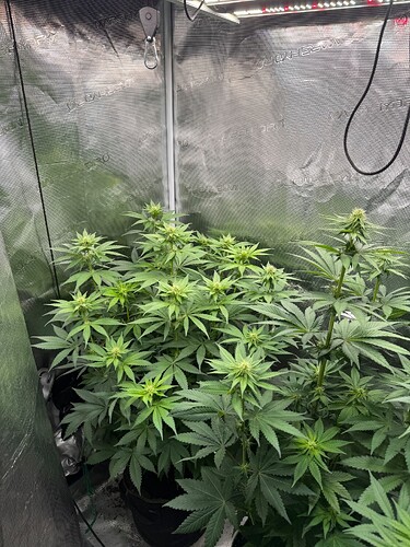 Growreport Bild 12