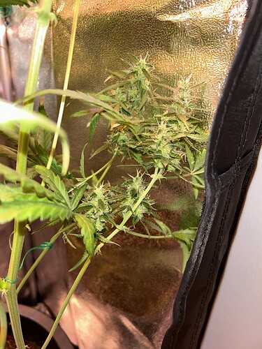 Growreport Bild 7