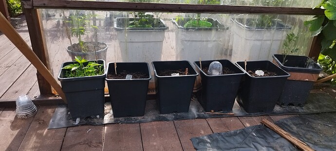 Growreport Bild 30