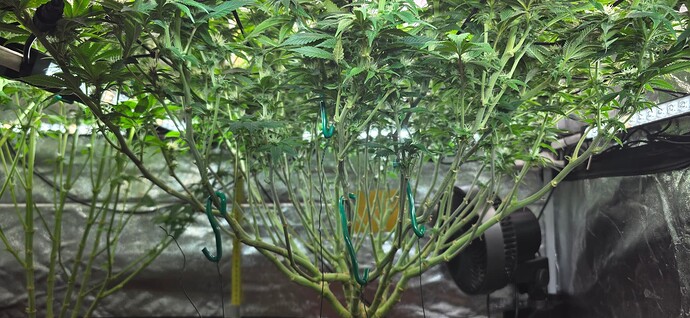 Growreport Bild 23