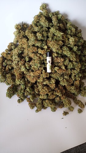 Growreport Bild 10