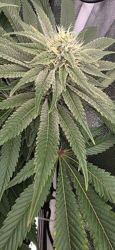 Growreport Bild 17