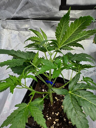 Growreport Bild 18