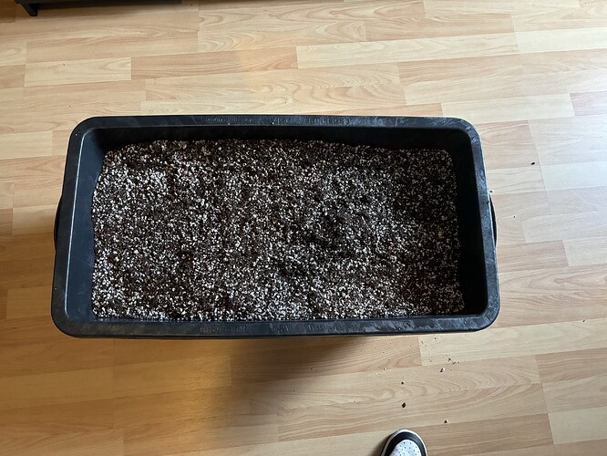 Growreport Bild 7