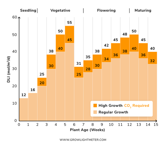 Growreport Bild 6