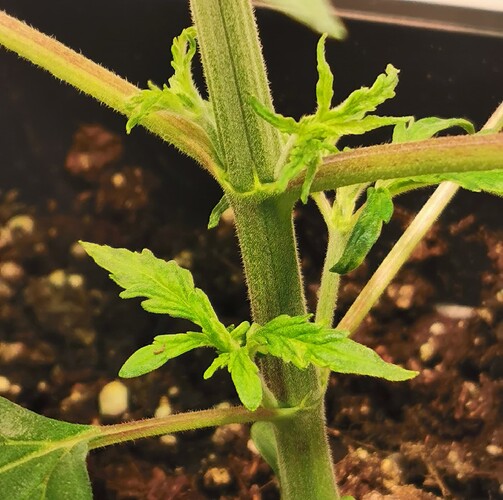 Growreport Bild 8