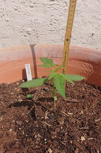 Growreport Bild 4