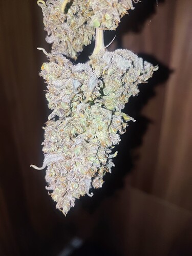 Growreport Bild 47