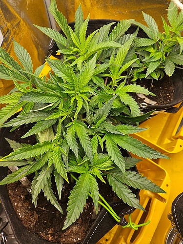 Growreport Bild 18