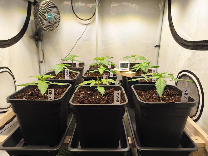 Growreport Bild 1