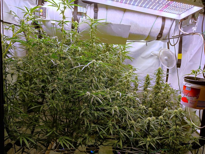 Growreport Bild 2