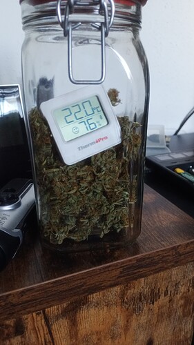 Growreport Bild 11
