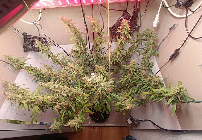 Growreport Bild 11