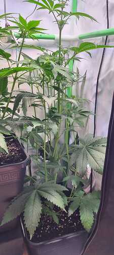 Growreport Bild 15