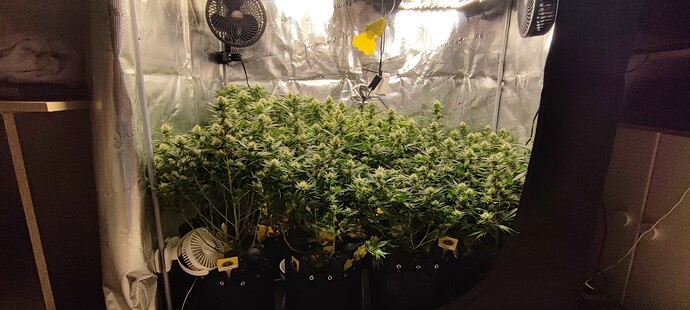 Growreport Bild 21