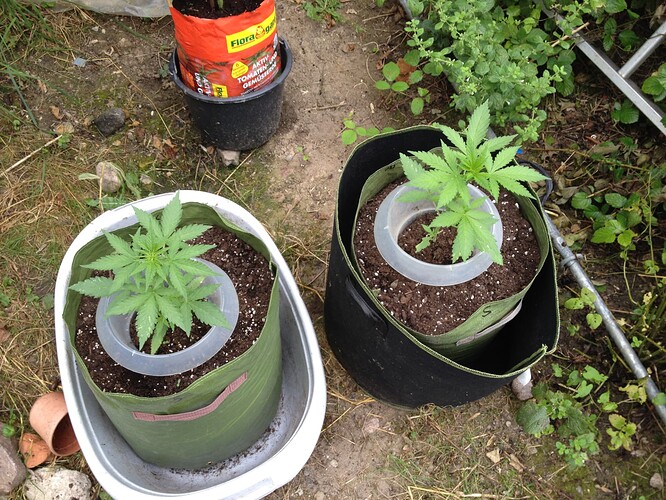 Growreport Bild 16