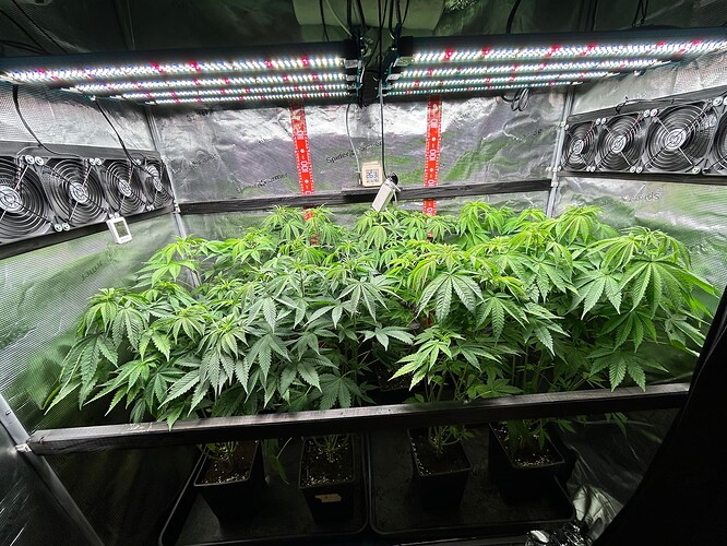 Growreport Bild 30