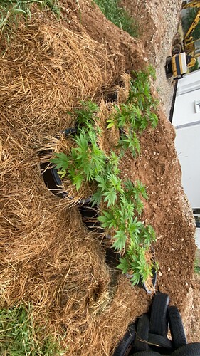 Growreport Bild 2
