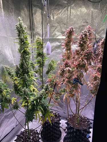 Growreport Bild 12