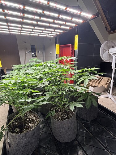 Growreport Bild 17